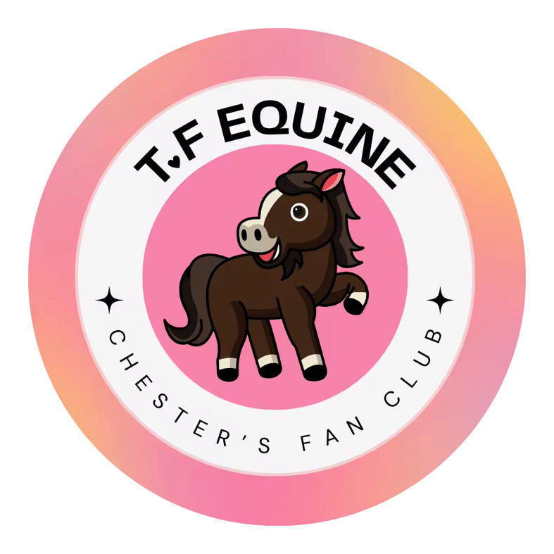 TF Equine x Chester's Fan Club Grey Hoodie 💖✨ LIMITED EDITION